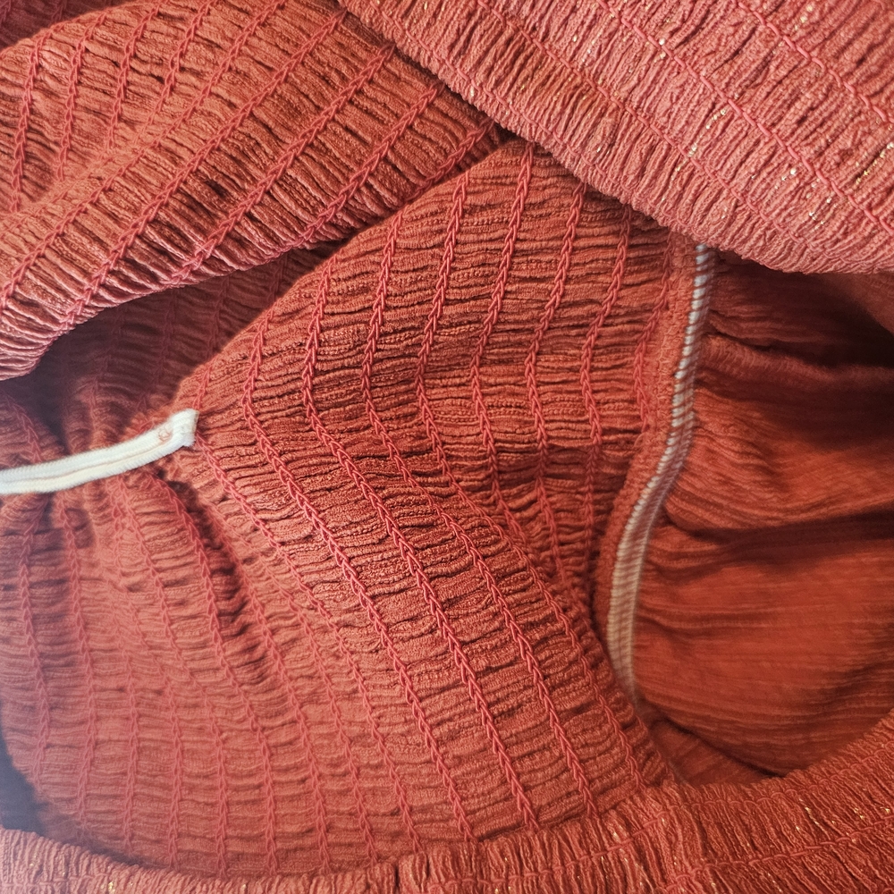 Express Rust Jumpsuit - Picture 7 of 9
